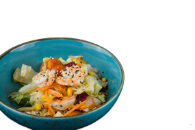 19. Insalata Sesamo 