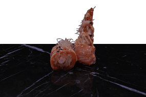 801. Ebi Flower