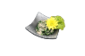 18. Spinat Salat mit Sesamsauce 
