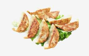 H9 Raviolis Japonais au Poulet