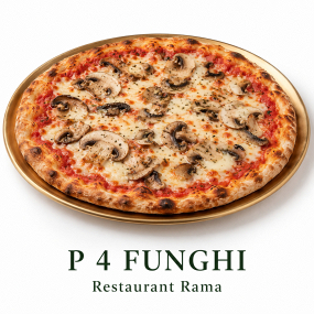 P 4 FUNGHI
