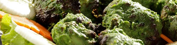 TANDOORI LEHMOFEN SPEZIALITÄTEN 