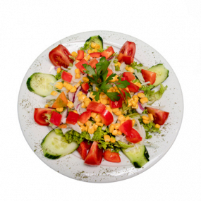 214 Salat Vegetaria