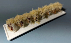 U6-Baked Salmone (8PZ)