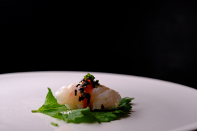 N19-NIGIRI PEPPER X(4PZ)