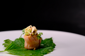 B11-BIGNE' AVOCADO(4PZ)