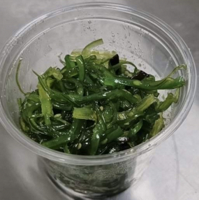 Salade de wakame