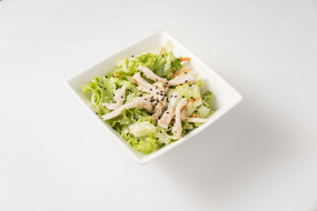 A11.Insalata con Pollo
