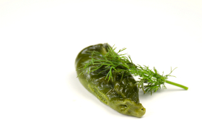 A7.Ravioli con Verdure