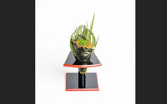 T2 Temaki Spicy Tonno (23pezzi)