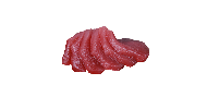 29 - Sashimi Tonno