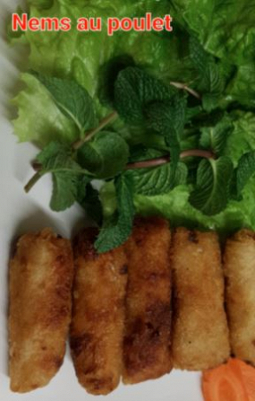 Nems au Poulet x5