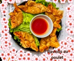 Raviolis au Poulet x5