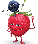 Oasis Pomme-Cassis-Framboise | 33cl.