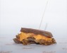 Patty Melt
