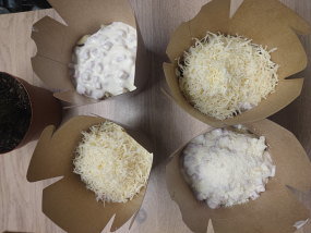 Pâtes Carbonara (HIPO CARBO)