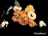 GYROS-PLATTE 