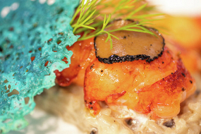 Menu L'Instant Papille