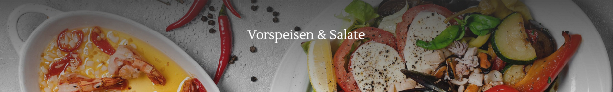 Vorspeisen & Salate
