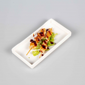 5 SPIEDINI POLLO 4PZ