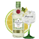 Tanqueray Rangpur 0,7L