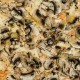 Funghi Champignon